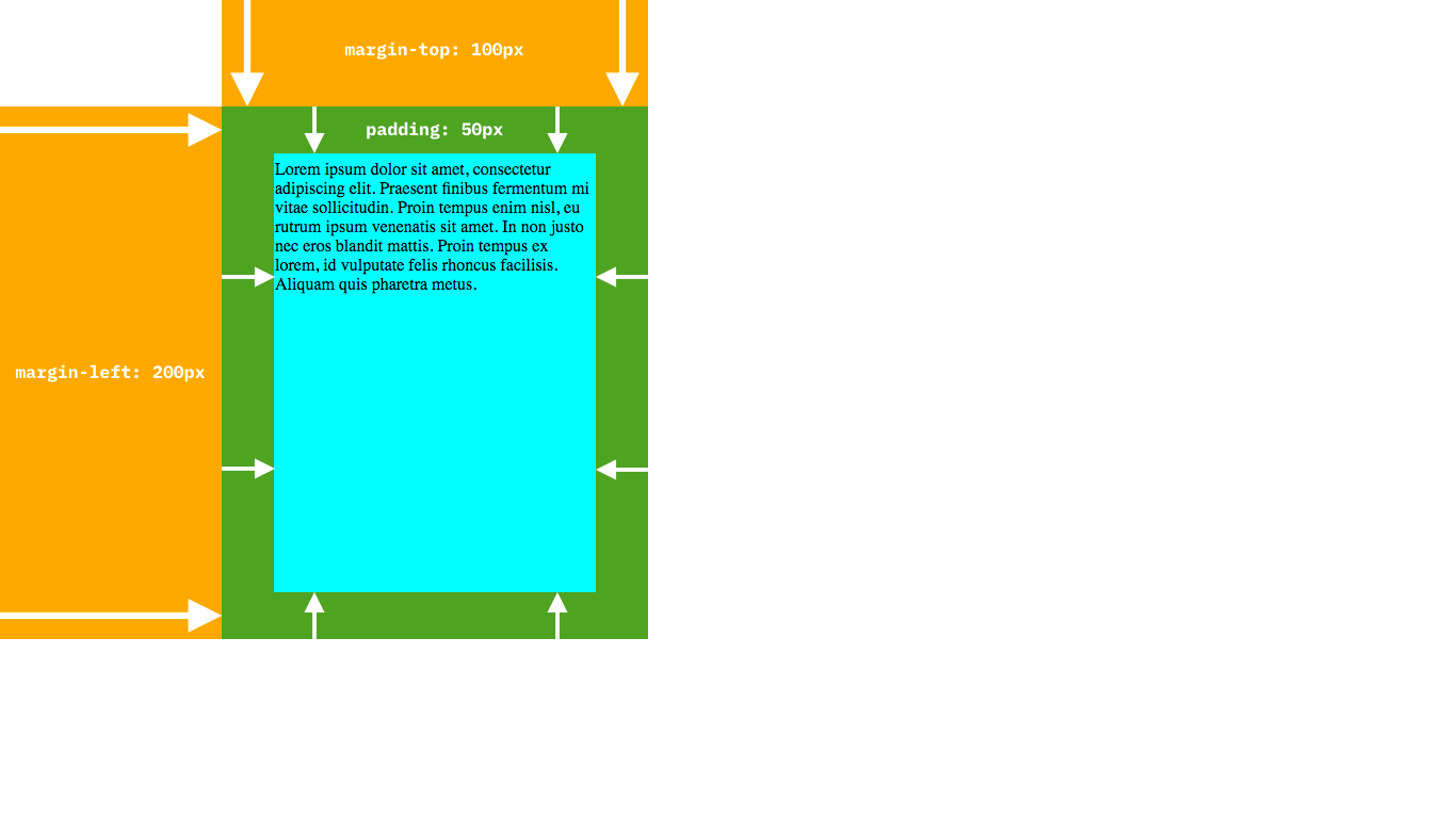 The margin-top, margin-left and padding un-invisibleized